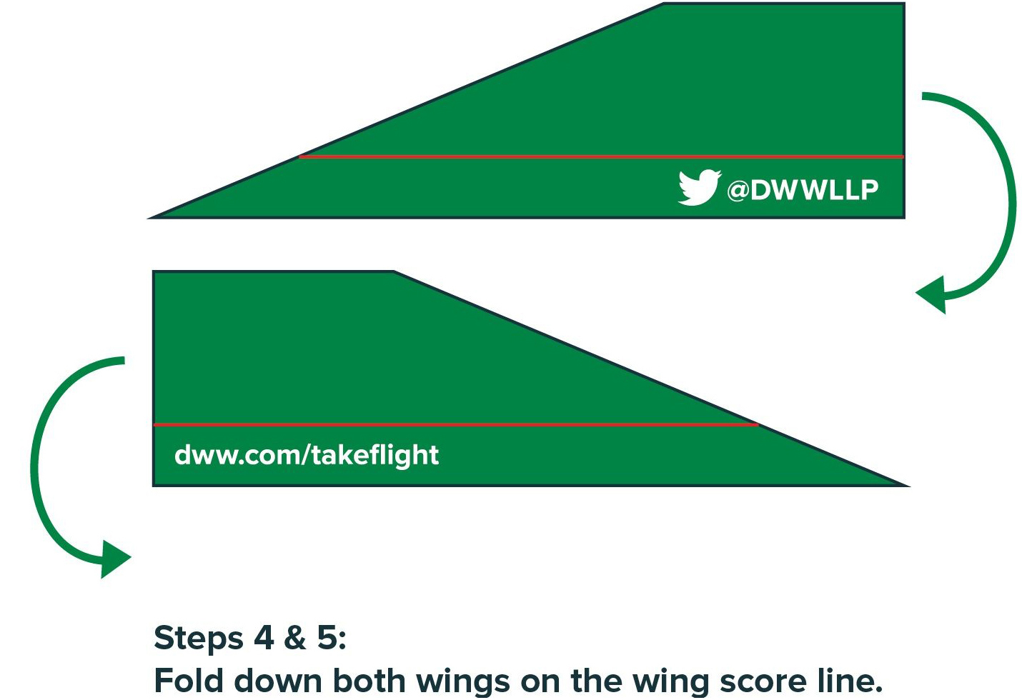 Steps 4 & 5: Fold down both wings on the wing score line.